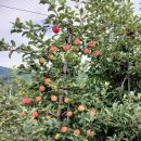 늘햇살농원 이미지