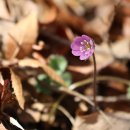 봉래산체육공원 이미지