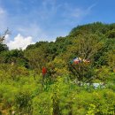 다래공인중개사사무소 이미지