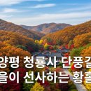 청룡사 | 🍂 양평 청룡사 단풍길: 가을이 선사하는 황홀경, 고즈넉한 힐링 로드 🍁