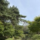 MONDO | 🌞제천 리솜포레스트 조식뷔페 '몬도키친(Mondo Kitchen)' 후기 (+ 메뉴, 가격, 시간)