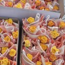 자은초등학교 병설유치원 이미지