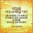 금채샵 이미지