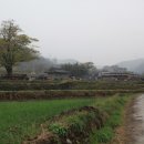 음지마을 농로 이미지