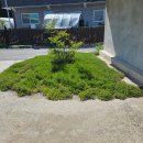 생극농장 이미지