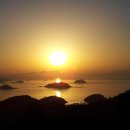 정자주단