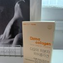 콜라겐 추천 매일 맛있게 챙기는 프랑스산콜라겐 다모아 콜라겐 후기