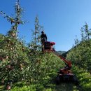 이태영농장 이미지