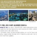 효성약국 이미지