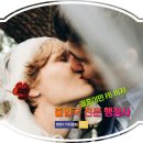 국제결혼가우 이미지