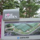 조선대학교 장미원 이미지