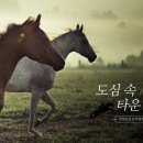 오봉로 10번길 이미지