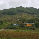 홍가네농장 이미지