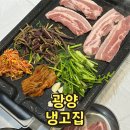 냉고집 | [광양] 미나리 고사리 무한리필 '냉고집' 광양냉삼겹살 맛집