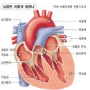 동해명가한의원 이미지