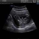 제이엘산부인과의원 이미지