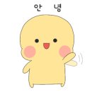 쇼피스(Showpiece) 이미지