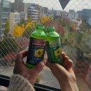 6874 | [같이 여행] 후쿠오카 이와타야백화점 어그 구매후기 (할인쿠폰, 텍스리펀방법, 위치 안내), 빅카메라...