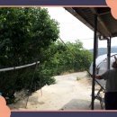 군서보건지소 이미지