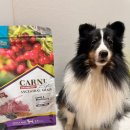 카니코리아 이미지