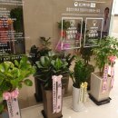 덴치과기공소 이미지