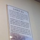 예당버섯 이미지