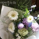 델핀플라워 이미지