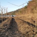 갈골농원 이미지