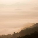 금주(禁酒)의 효과와 금단현상 알아보기 이미지