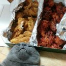 강냥이 네이버블로그