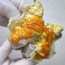 착한밥도둑 | 밥도둑, 착한미식가 꽃게 게장 알배기 후기!!