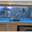 홍이네식당 이미지