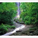 계곡&풍경 이미지