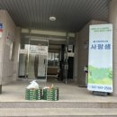 피자마루 홍성점 Daum카페