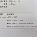 팝애니랩