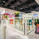 예삐애견 이미지