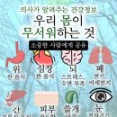 간 건강에 이미지