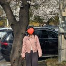 로케팅 | 로우슈가 후기 (001셔츠, 후드, 블루종)