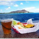 오션클럽 이미지