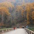 순천만여행 이미지