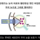 루카루카 에코시티점 이미지