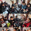 용인대호수태권도장 이미지