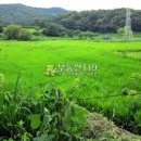 상리농장 이미지