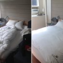 더클린앳홈 이미지