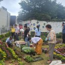 중앙동130 이미지