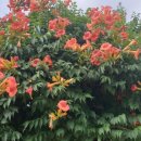 110헤이리 이미지