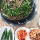 내장산흑염소