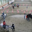 영천시운주산승마조련센터 이미지