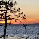 코지네이쳐 이미지