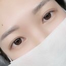 208  세류1동행정복지센터 | 수원 속눈썹연장 추천 니우래쉬